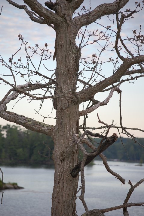 SUMMER2010- (59)